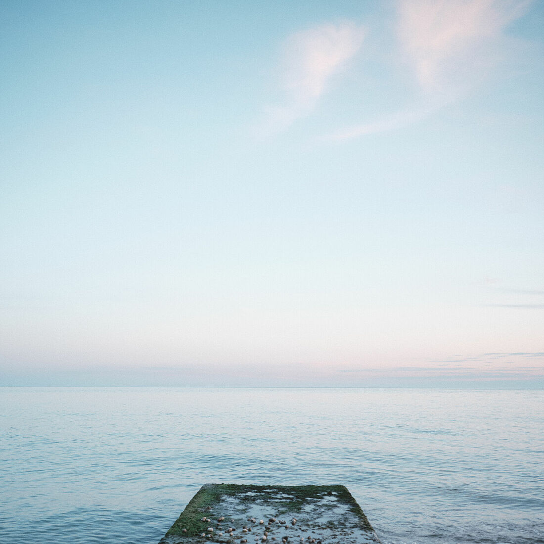 Photographer Dragunov Nikita. Orrez Summer 23. Untitled